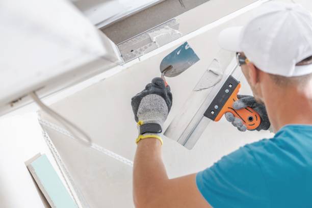 Mold Remediation for Rental Properties in Big Lake, WA
